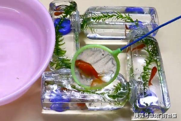 瓶子做的小东西 9fb7358da0c84f018071956f67f476be.jpeg