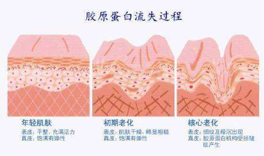 少吃甜食就是抗糖化了吗肌肤抗糖化你确定你真的做对了