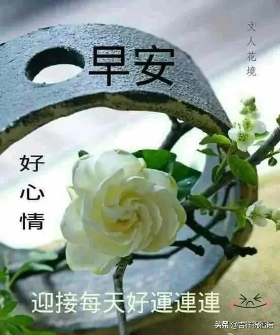 a52035269a844f35826ecd47671f63ea.jpeg