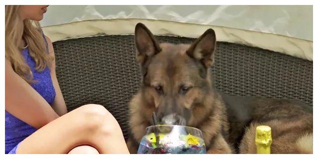 全世界最有钱的排名_世界第一款超级排名em电