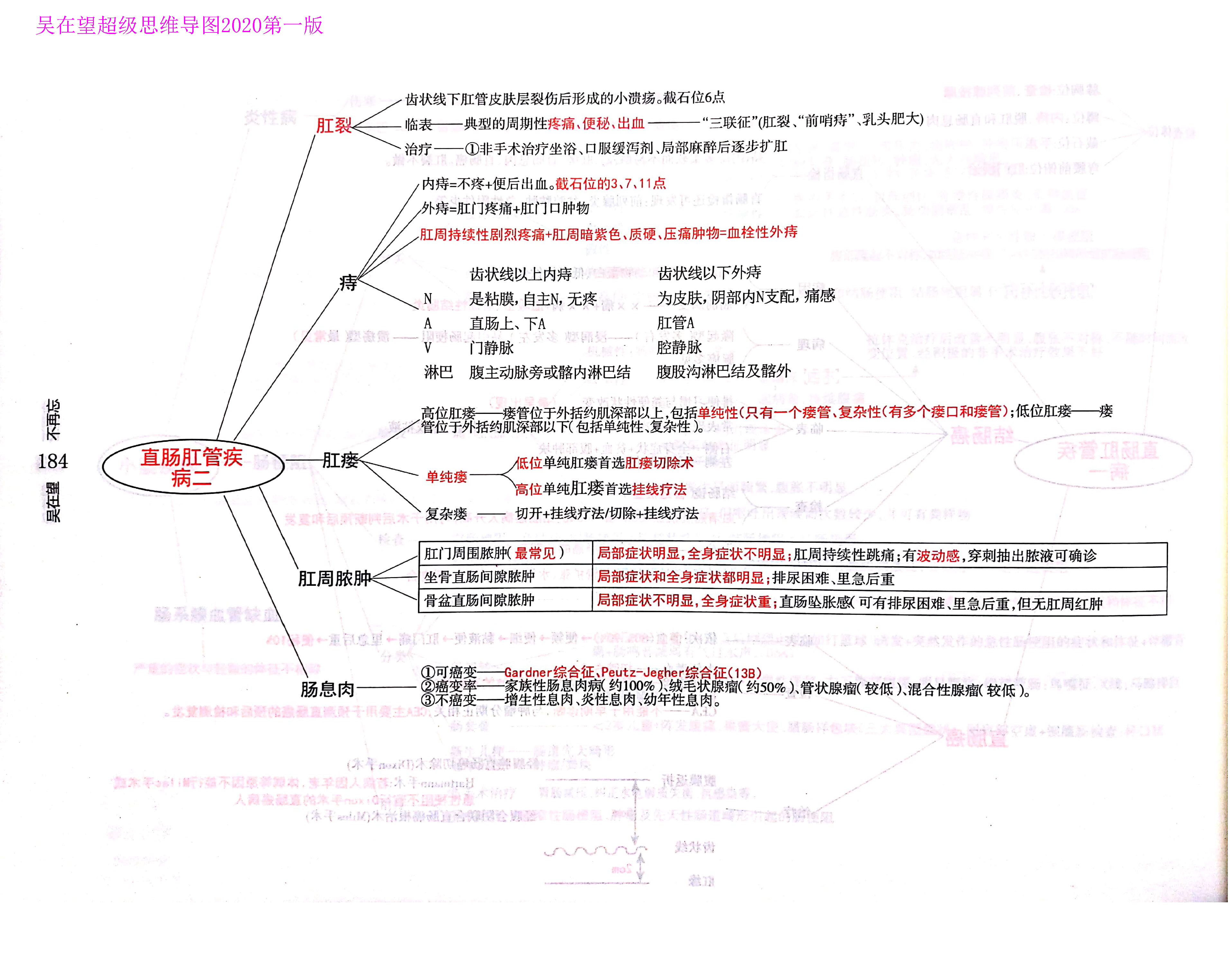 西综思维导图西综考研神器吴2外科学吴在望