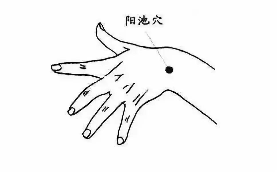 ae4d54c5cd1145cfbf21491faf9dbb99.jpeg