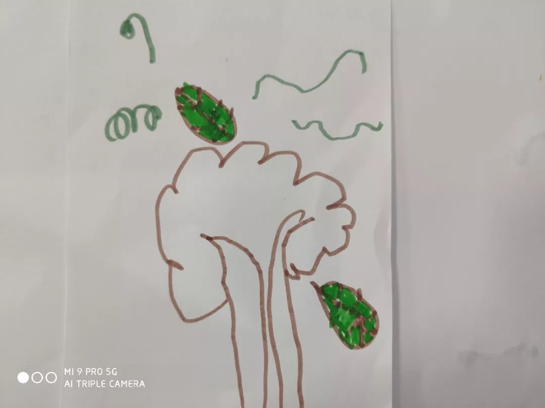 一卷白纸下面一条鲤鱼猜成语_一张白纸图片(2)