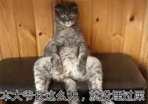 b5e94ba69b794dbfb4f20cd71d5d8f04.jpeg