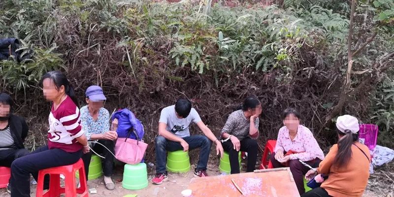 近日,钦州灵山县公安局,通过工作获悉,伯劳镇山塘村委会的一处深山中