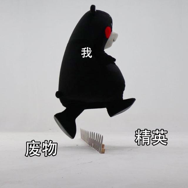熊本熊跨年表情包合集|从垃圾的2019跨到美好的2020
