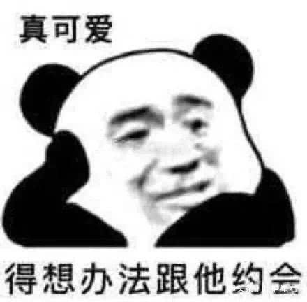 ba8aa65359fa462fa92d777fea5c0ad3.jpeg