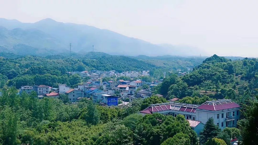 阳新县2020gdp_阳新县地图