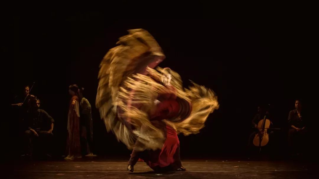 泛亚电竞刘迦在《舞蹈风暴》里跳的弗拉明戈究竟是什么神仙舞种？(图6)