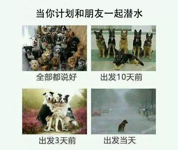 谁是人生中的绊脚石 ce028ac80b4a4b159ef39ba84afb2544.jpeg