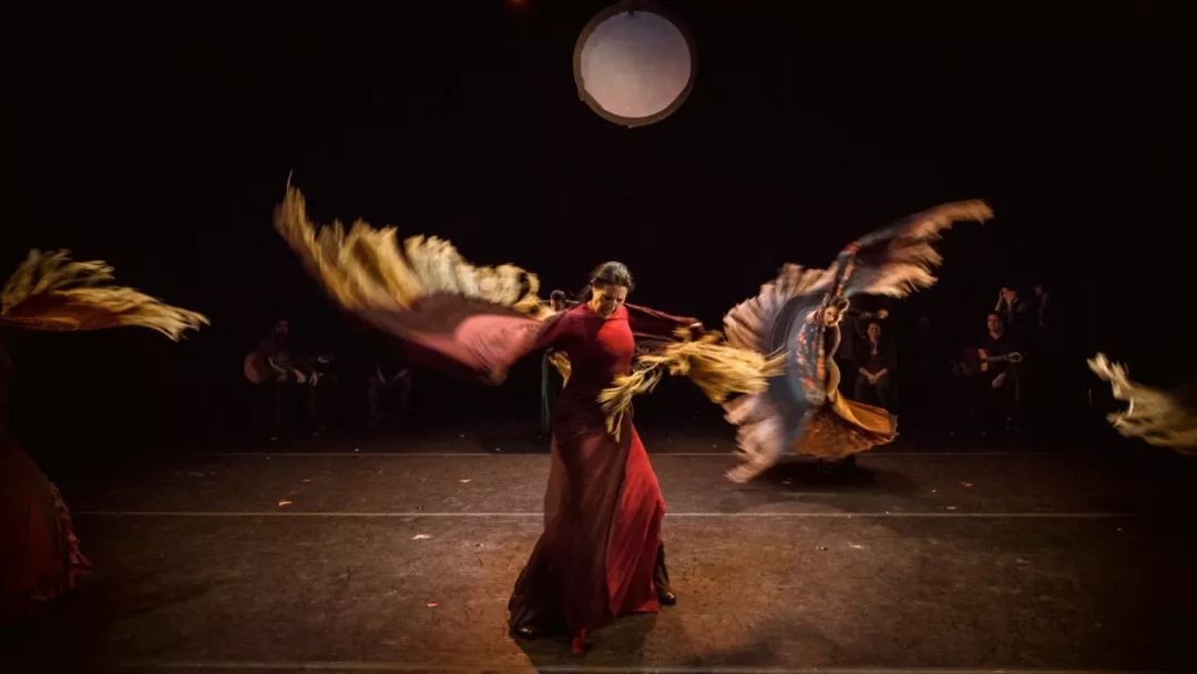 泛亚电竞刘迦在《舞蹈风暴》里跳的弗拉明戈究竟是什么神仙舞种？(图5)