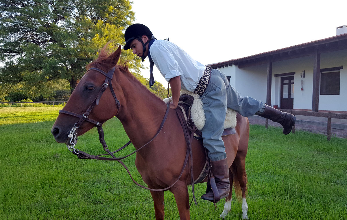 学骑马的六大原则---上马及正确的骑姿(三)