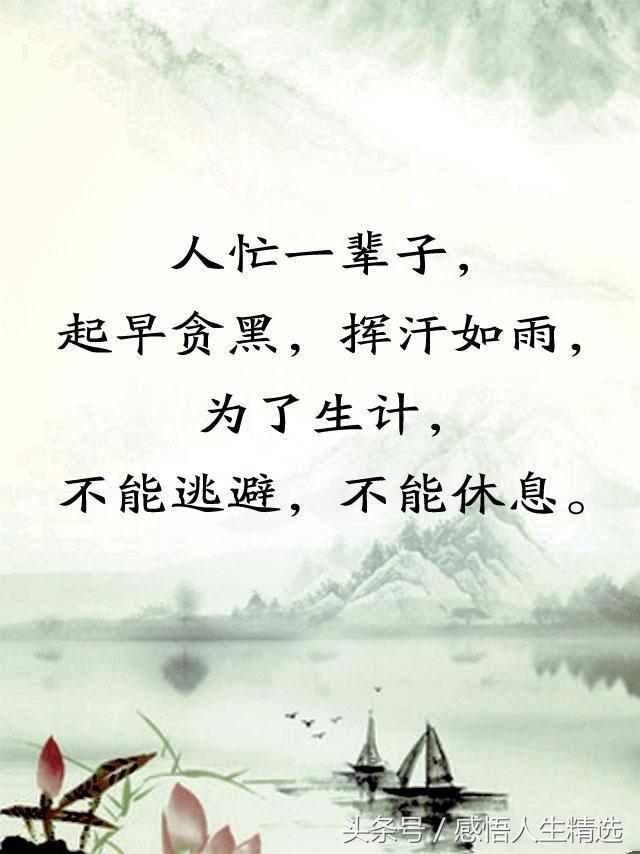 为了生活,埋头苦干;为了养家,拼命赚钱