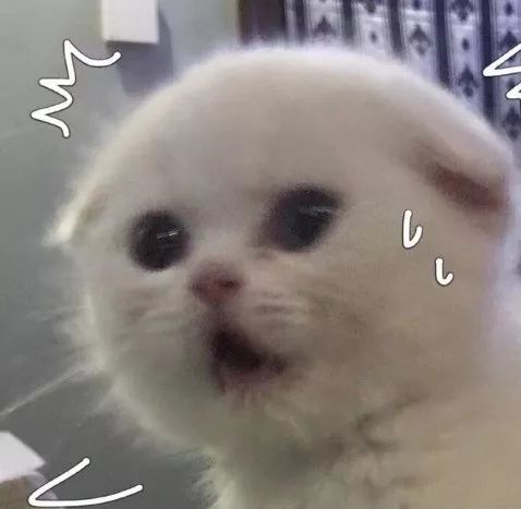为什么叫抖爸爸而不是抖妈妈呢 f651f3e8a2ca4fd5b783dddccf90cc76.jpeg