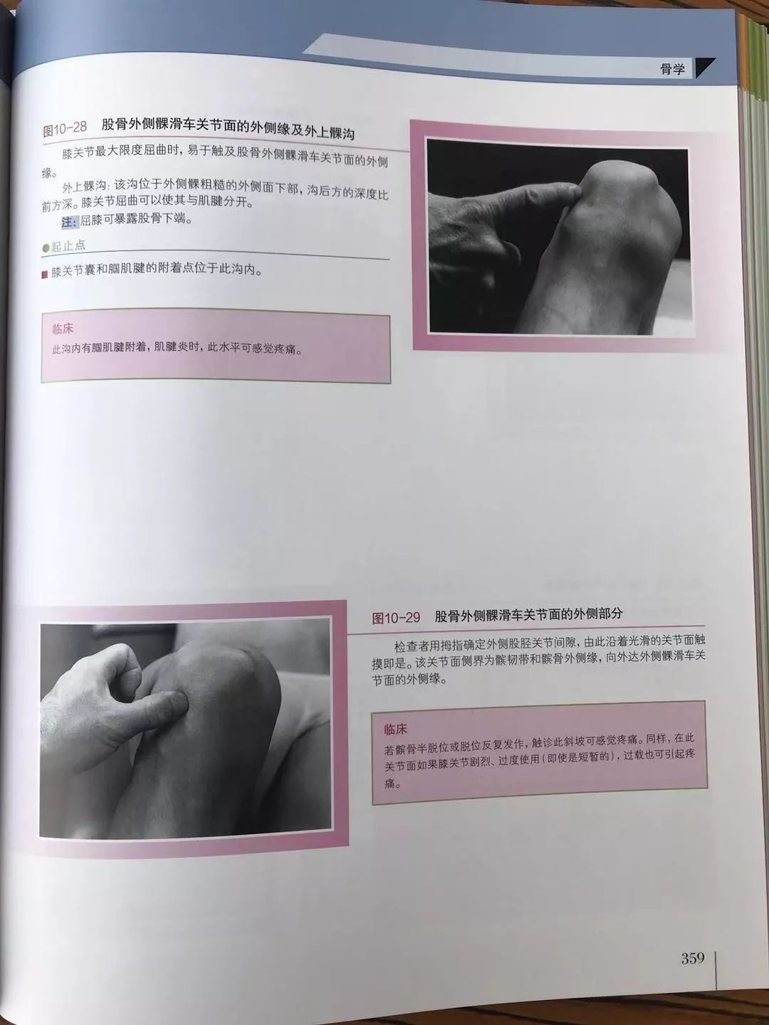 书籍推荐丨正版书籍《触诊解剖学图谱》第二版