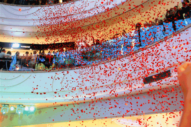 漫天玫瑰花瓣从天而降