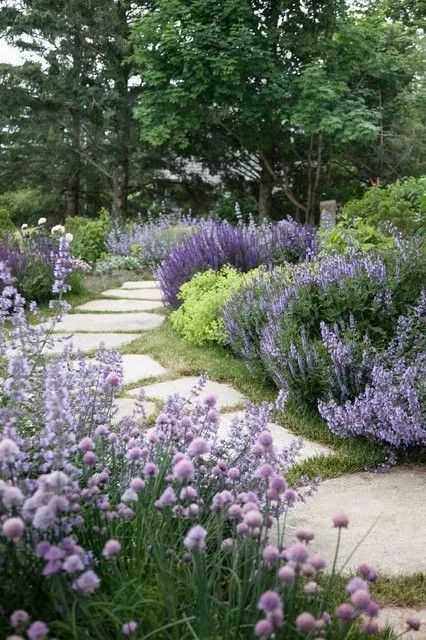 庭院花园"植物配置"六大秘诀,造出一座专属于自己个性的美丽花园.