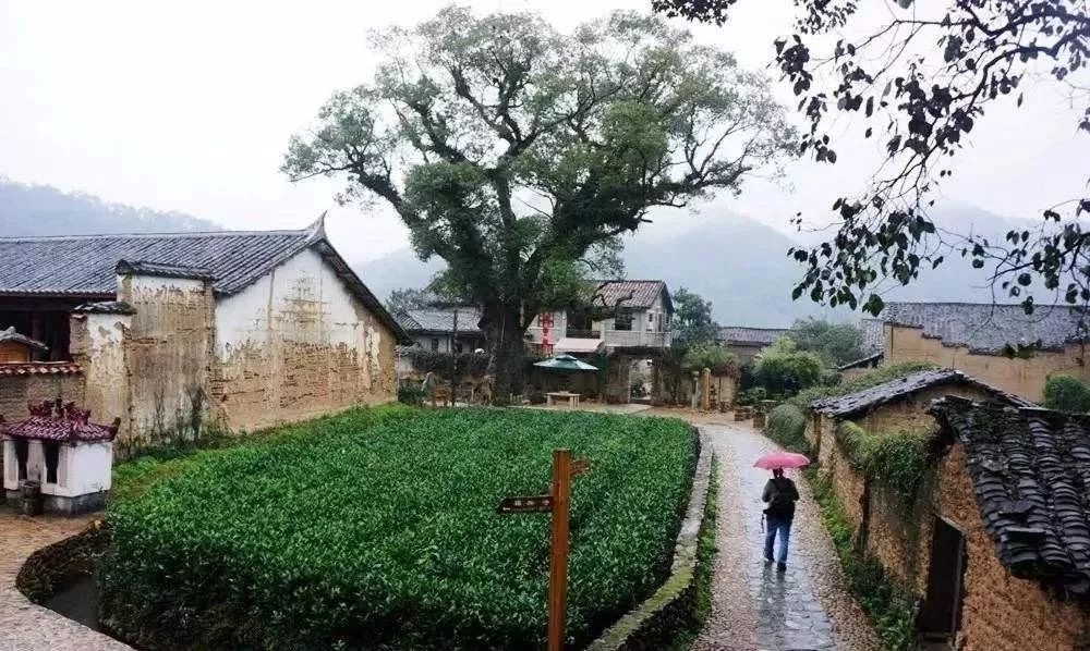 石圳村人口_人口普查图片(2)