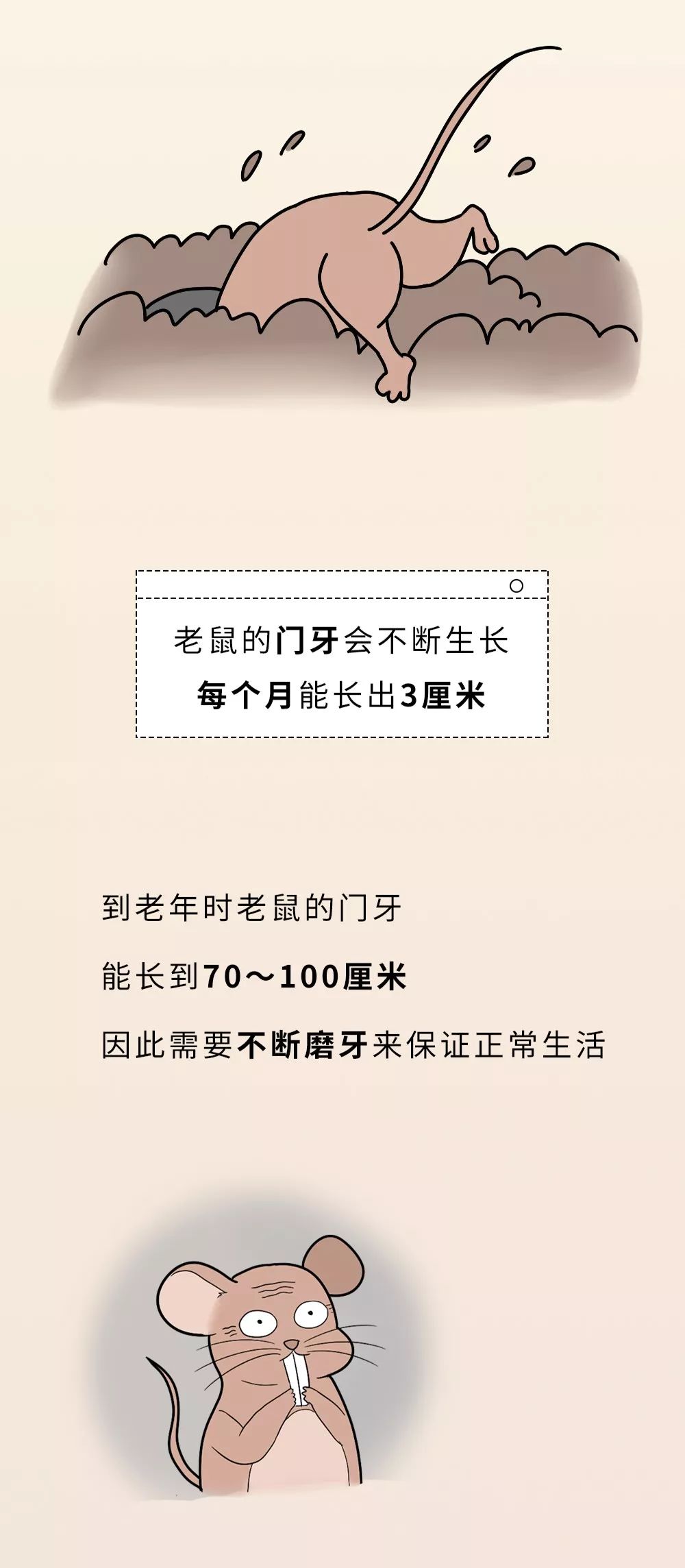 如何让自己不内耗每天开心 155b6b5ee72f4e83997aafaeb6b54d51.jpeg