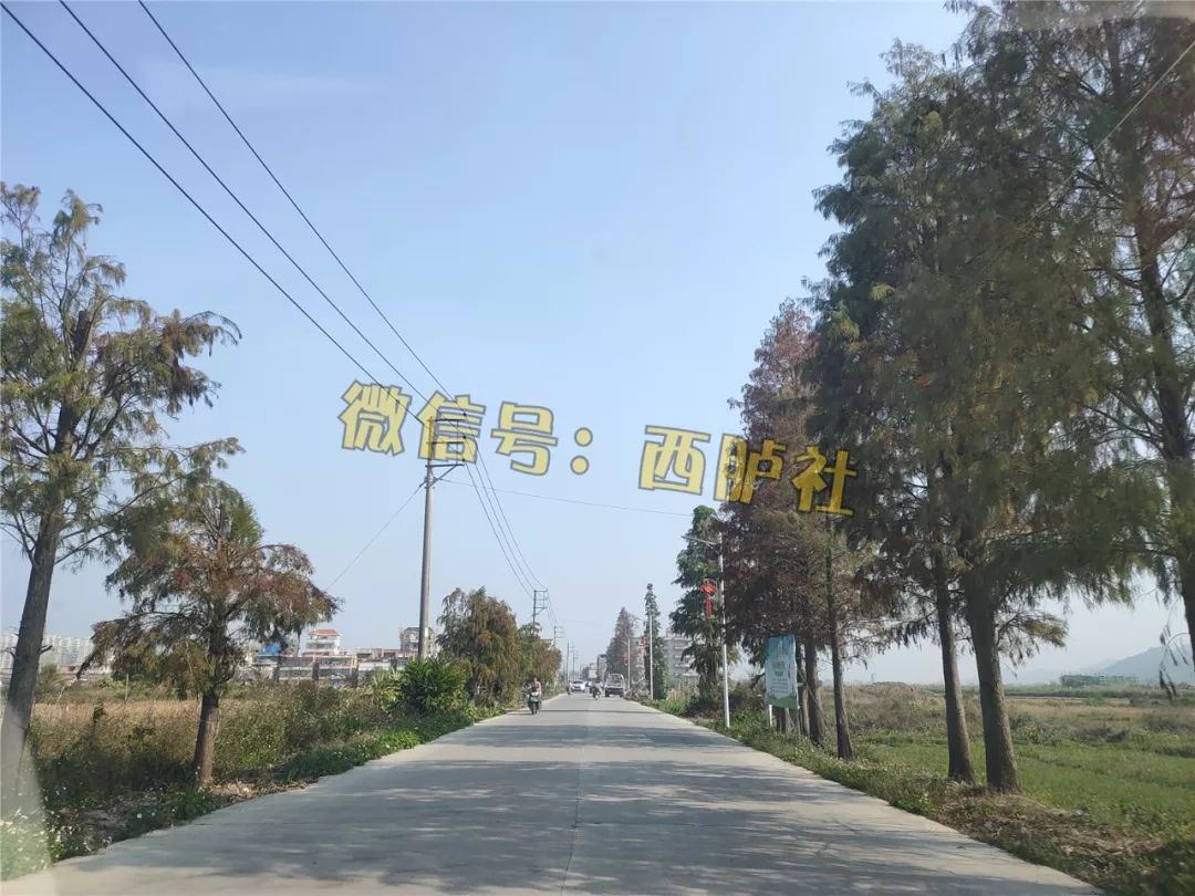 西胪陂头人口_西胪陂头迎神