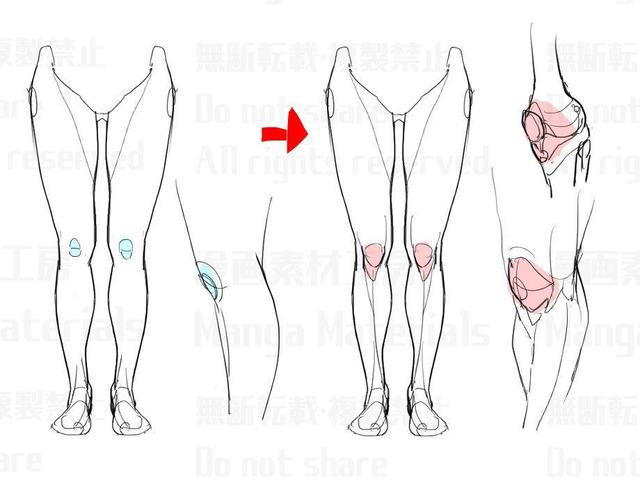 腿控必备!最适合绘画初学者学习的人物膝盖画法