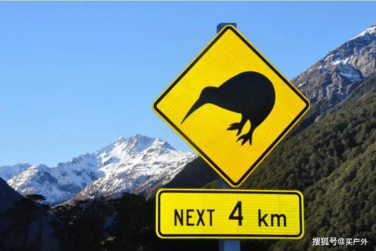 新西兰自驾游攻略,去新西兰自驾游实用指南