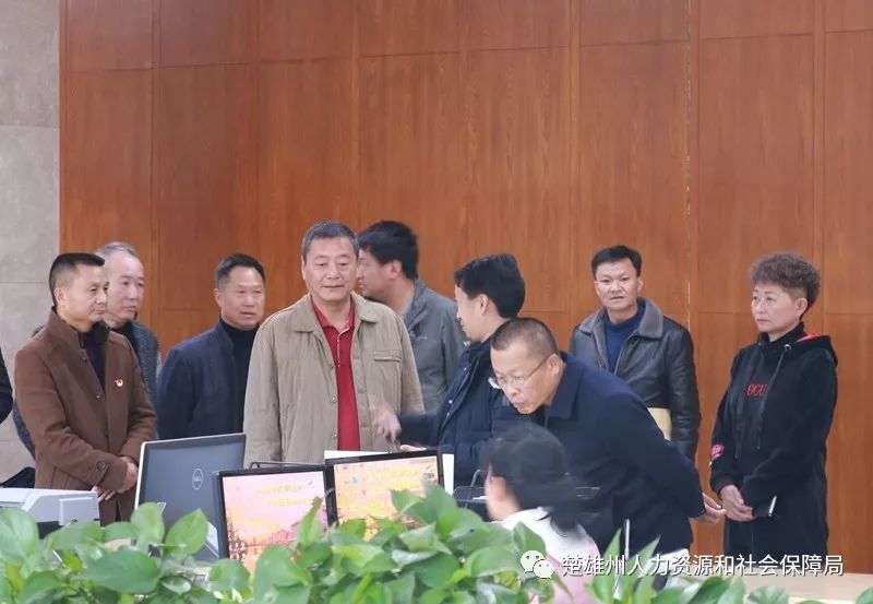 楚雄市有多少人口(2)