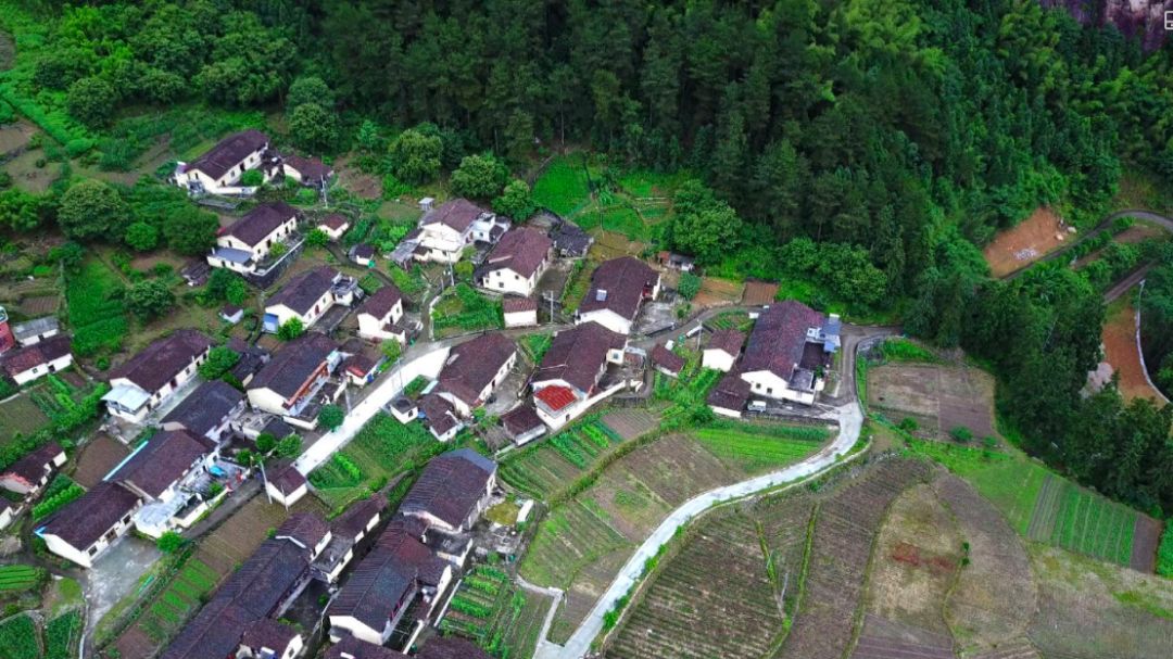 靠山村常住人口多少_常住人口登记卡