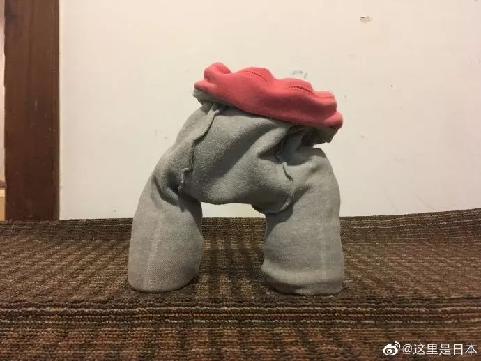 昨天群里的聊天记录,一个姑娘分享了她的喜悦。一个人为了猫,真是什么都干得出来! 搞笑故事 千家号自媒体 一锤钉子 第5张 昨天群里的聊天记录,一个姑娘分享了她的喜悦。一个人为了猫,真是什么都干得出来! 搞笑故事 千家号自媒体 一锤钉子 第5张