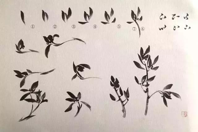 徐湛老师教你画兰花,兰草!主次,虚实,呼应等绘画关系大合集