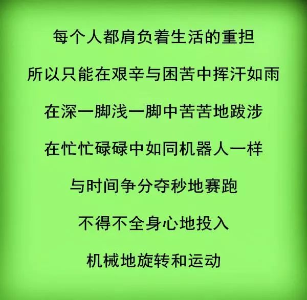 风雨人生路简谱_风雨人生路简谱 车行词 饶荣发曲 秋叶起舞个人制谱园地 中国曲谱网