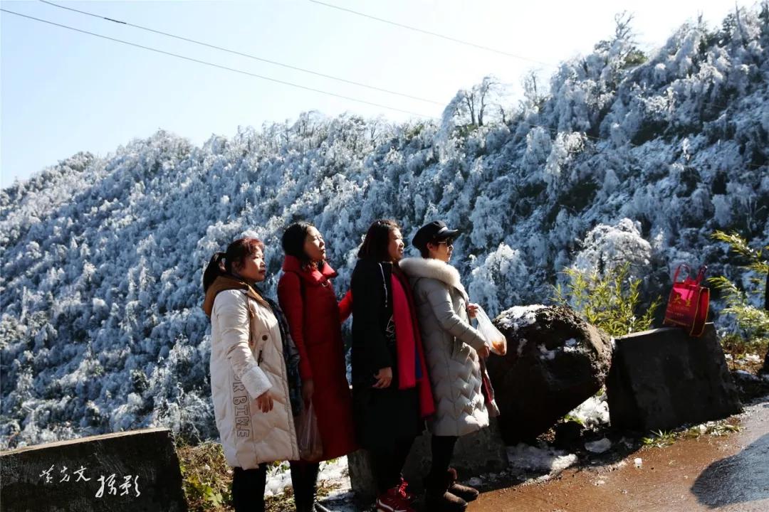 美翻了筠连大雪山的一场雪把大家的魂都勾起走了