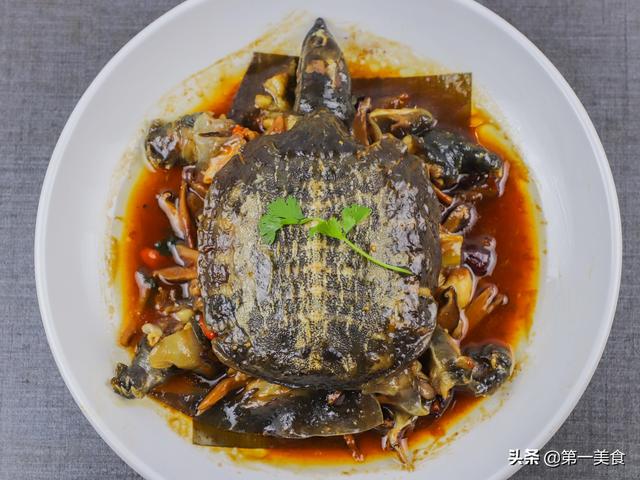 水鱼怎么玩详细点 3807c890208b48f6a8c9c375b35d40c8.jpeg