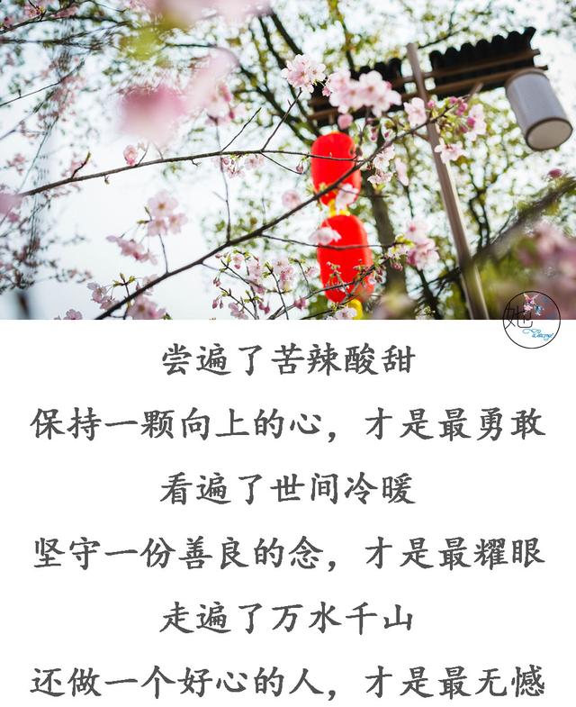 什么是真正的善良说的太好了 3923db7c8ef746e2ab81d569c5f48ffb.jpeg