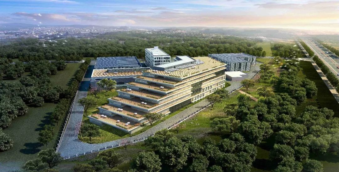 青岛华大细胞中心项目落户青岛国际经济合作区中德生态园