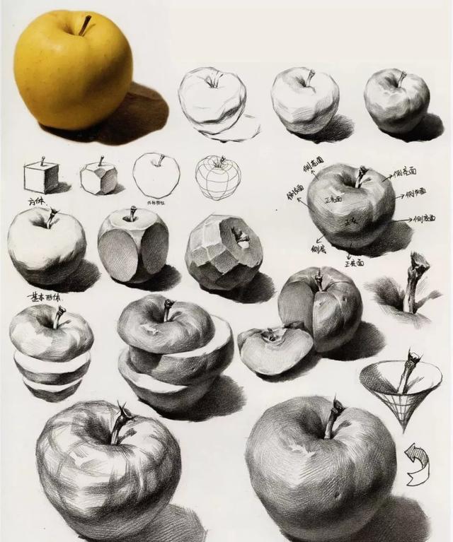 关于素描苹果的分析,一篇让你吃透苹果的素描结构