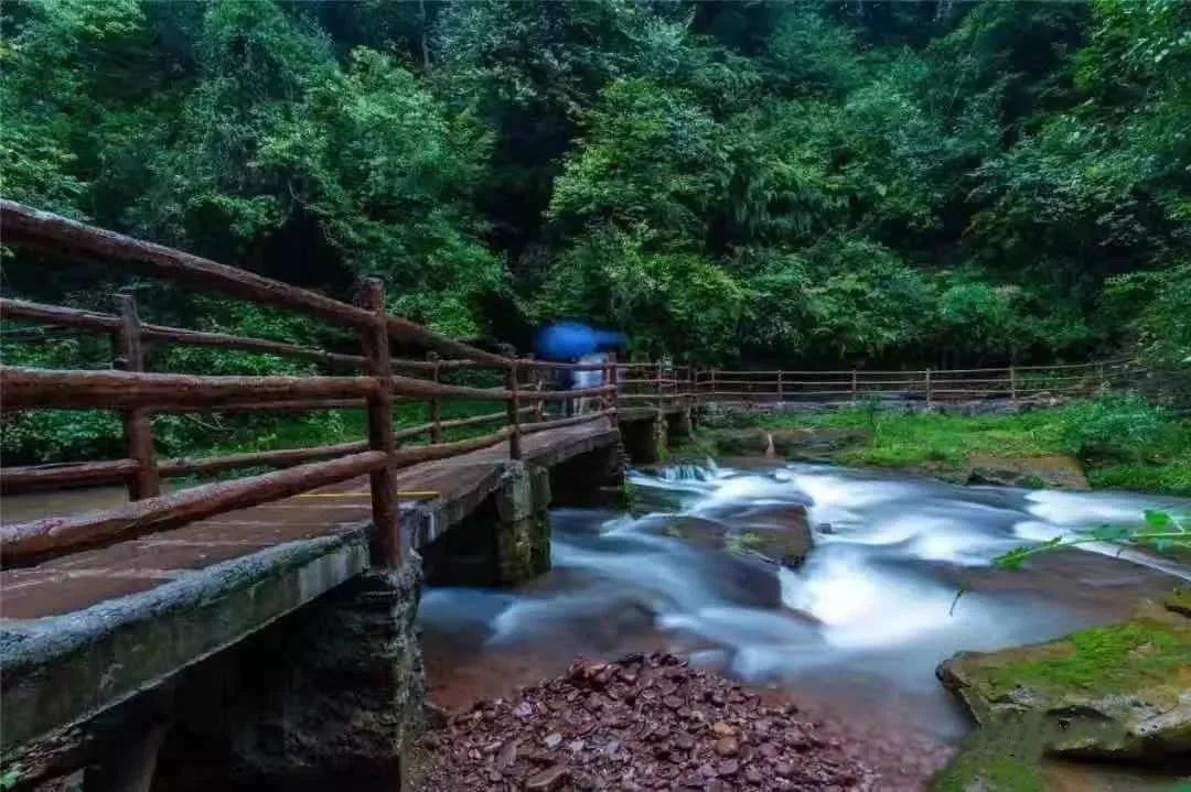 雅安碧峰峡景区进入国家5a景区公示