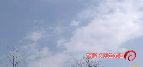 77050d544fee44eca2365998a3e048fc.jpeg
