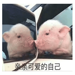 78fda73f0d7b47a998f7d84e3f79b214.gif