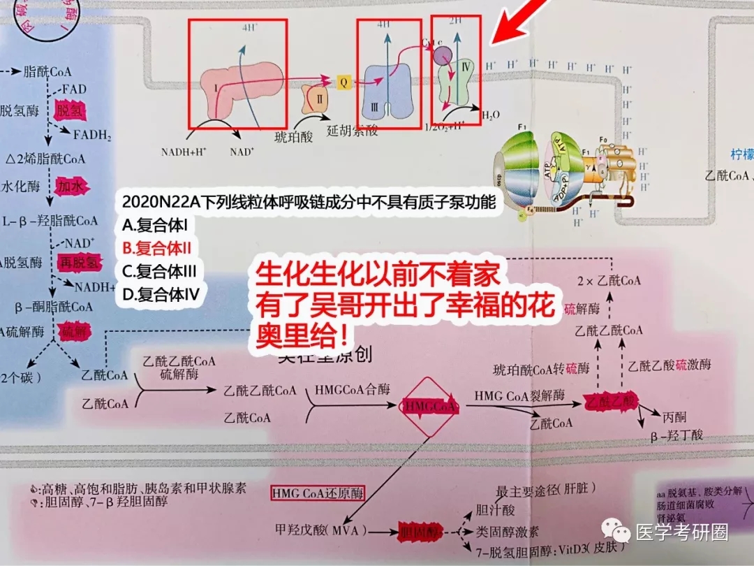 吴在望西医综合生化九大代谢图2020一张纸押中生化九道题