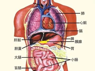 西安关中农村白事秦腔曲谱柳青娘(2)