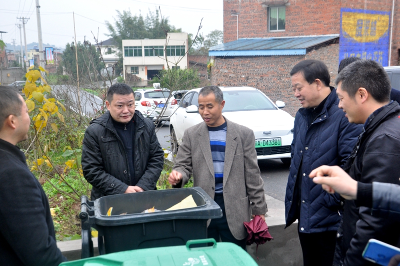 江津区副区长吴晓琳到朱杨镇巡查调研