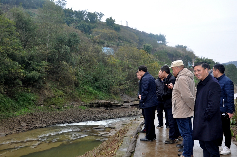 江津区副区长吴晓琳到朱杨镇巡查调研