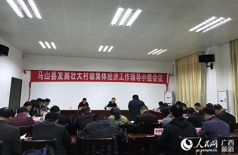 马山县:强化六项举措 实现村村有集体经济收入