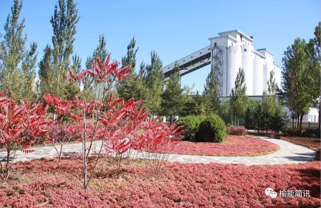 【基层要闻】榆能集团榆神煤电公司所属榆树湾煤矿和薛庙滩煤矿被评为