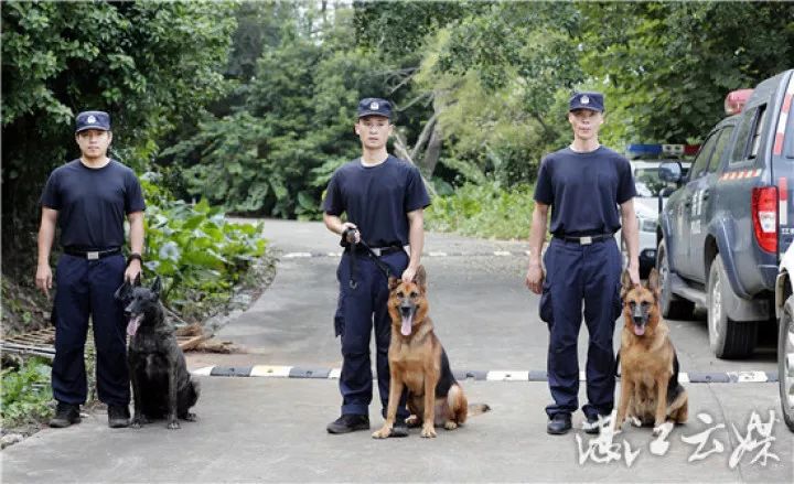 搜爆犬日常的训练课程正是我市公安局刑警支队技术大队警犬中队这