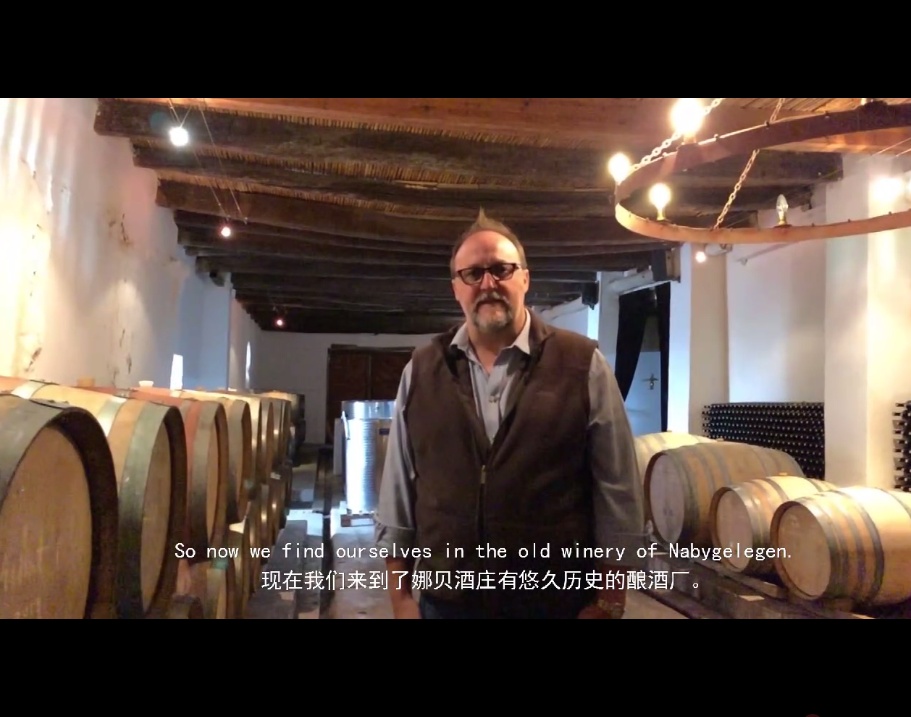 铁虎阿峰抗争平安保险资本压榨，曝出雄厚实力