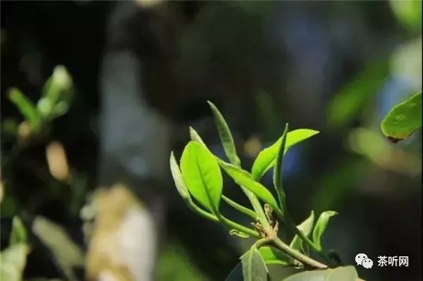 刘乐小城故事曲谱(3)