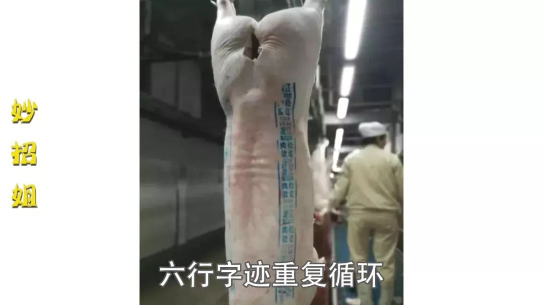 affb8447464741b0a62166007805ced2.jpeg
