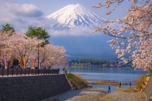 日本留学应该如何择校